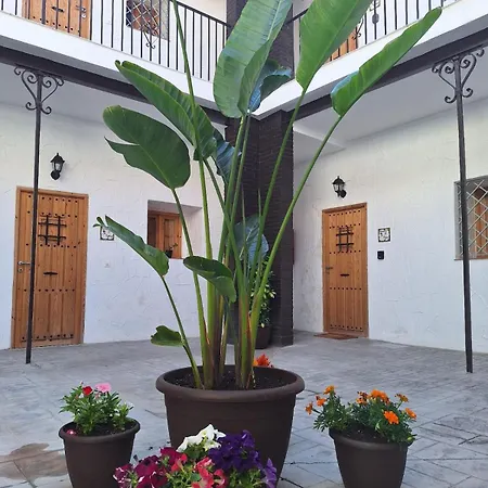 La Catavina * Jerez de la Frontera