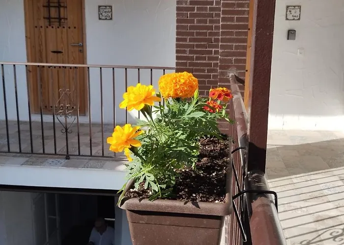 La Catavina Jerez de la Frontera