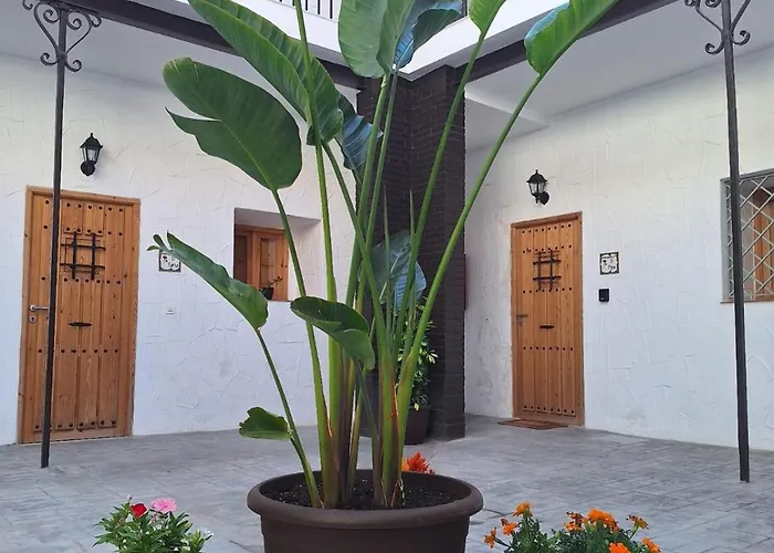 La Catavina * חרז